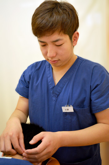鍼灸師-下澤圭祐