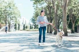 生活習慣病の予防には犬の散歩！？