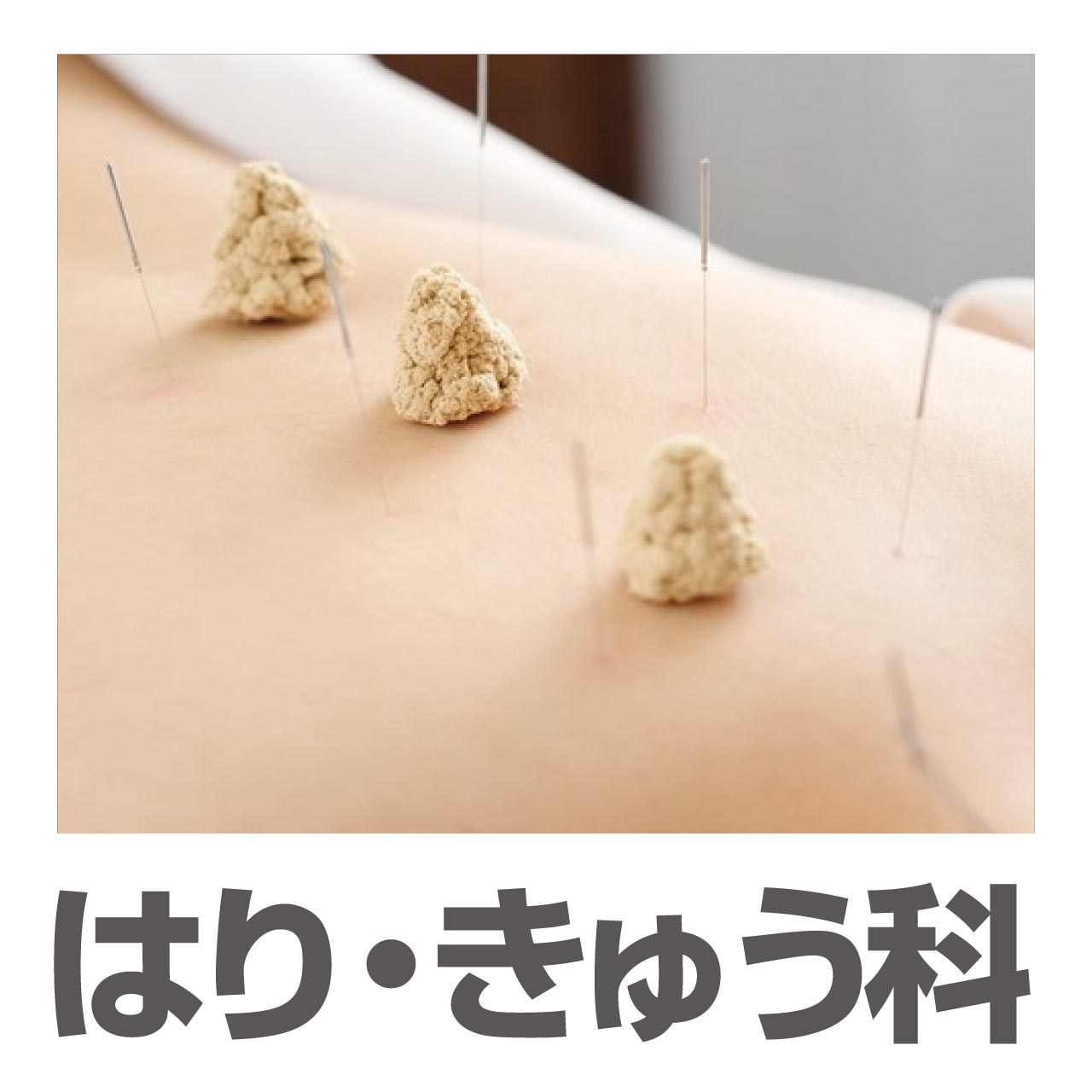 BJはりきゅう科